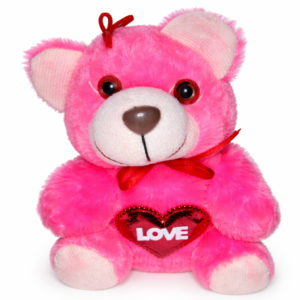 Pink Teddy Bear with LOVE Heart 🧸💖