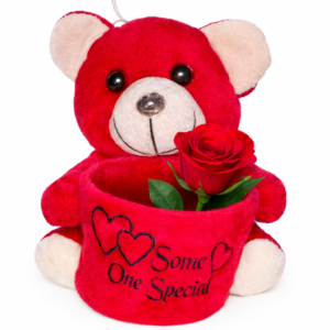 Red Teddy Bear with Rose