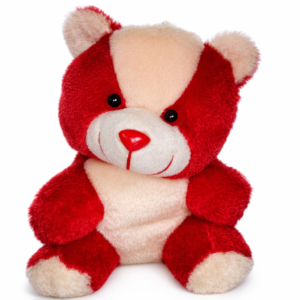 Teddy Bear 10 Inch
